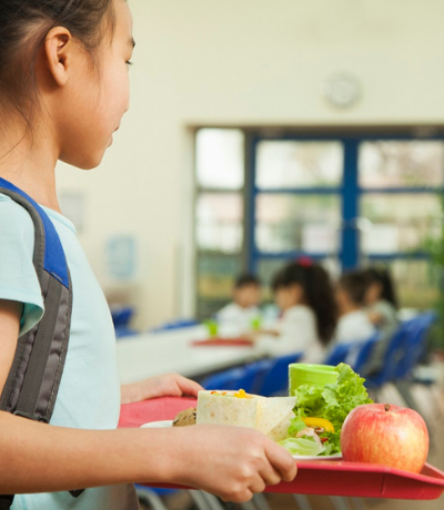 National School Lunch Program Estimates