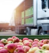 Apples in container ready for shipping near a truck