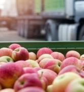 Apples in container ready for shipping near a truck