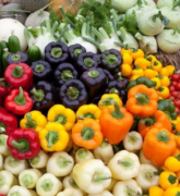 Vegetables at a market